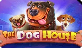 Spinjo – The Dog House